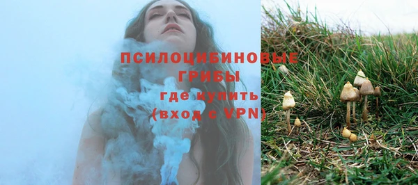 ПСИЛОЦИБИНОВЫЕ ГРИБЫ Аркадак