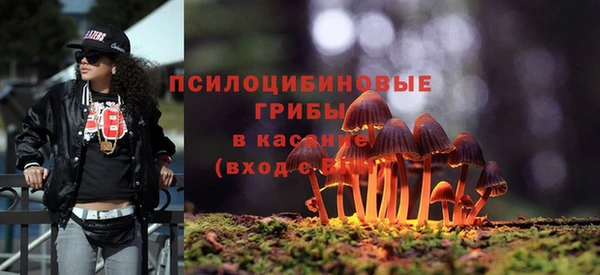 ПСИЛОЦИБИНОВЫЕ ГРИБЫ Аркадак