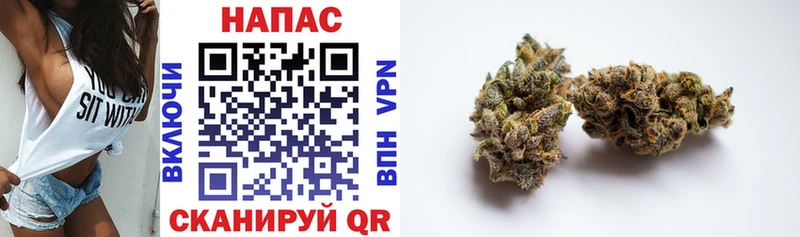 Канабис OG Kush  Купить  Арамиль 